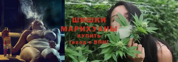 прущие грибы Нефтекумск