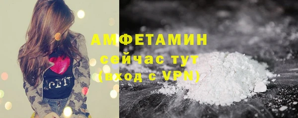 прущие грибы Нефтекумск