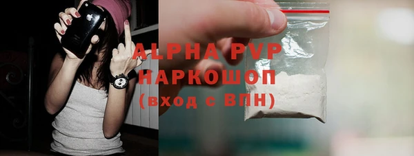 прущие грибы Нефтекумск