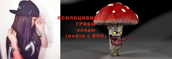 прущие грибы Нефтекумск