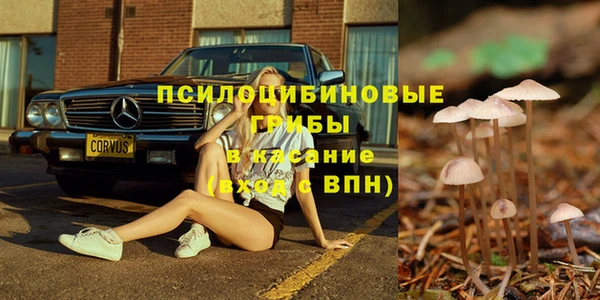 прущие крисы Нефтегорск