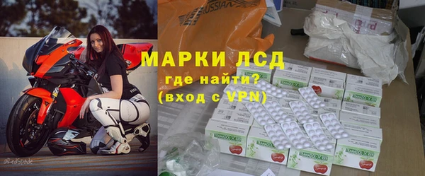 прущие грибы Нефтекумск