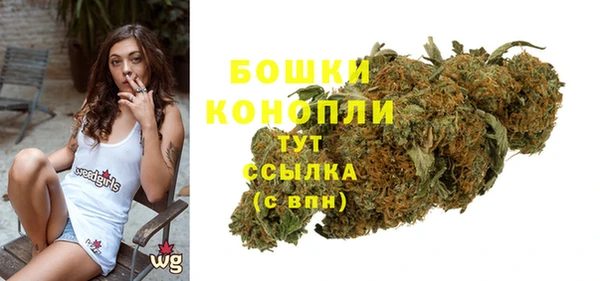 дмт Нея