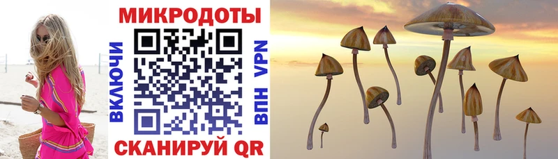 даркнет телеграм  Олонец  Галлюциногенные грибы GOLDEN TEACHER  гидра как зайти 