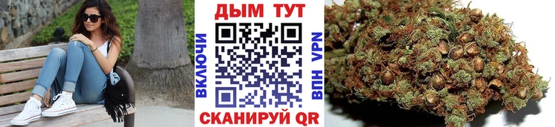 купить наркотики цена  Олонец  Шишки марихуана Ganja 